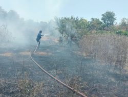 Cegah Api Meluas, Polisi Bersama Warga Padamkan Kebakaran Lahan di Marusu